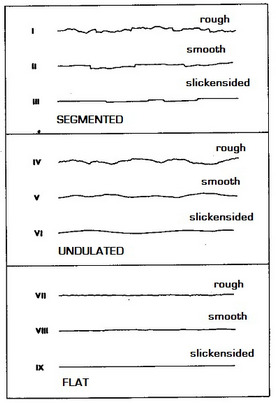 Theoretical notes